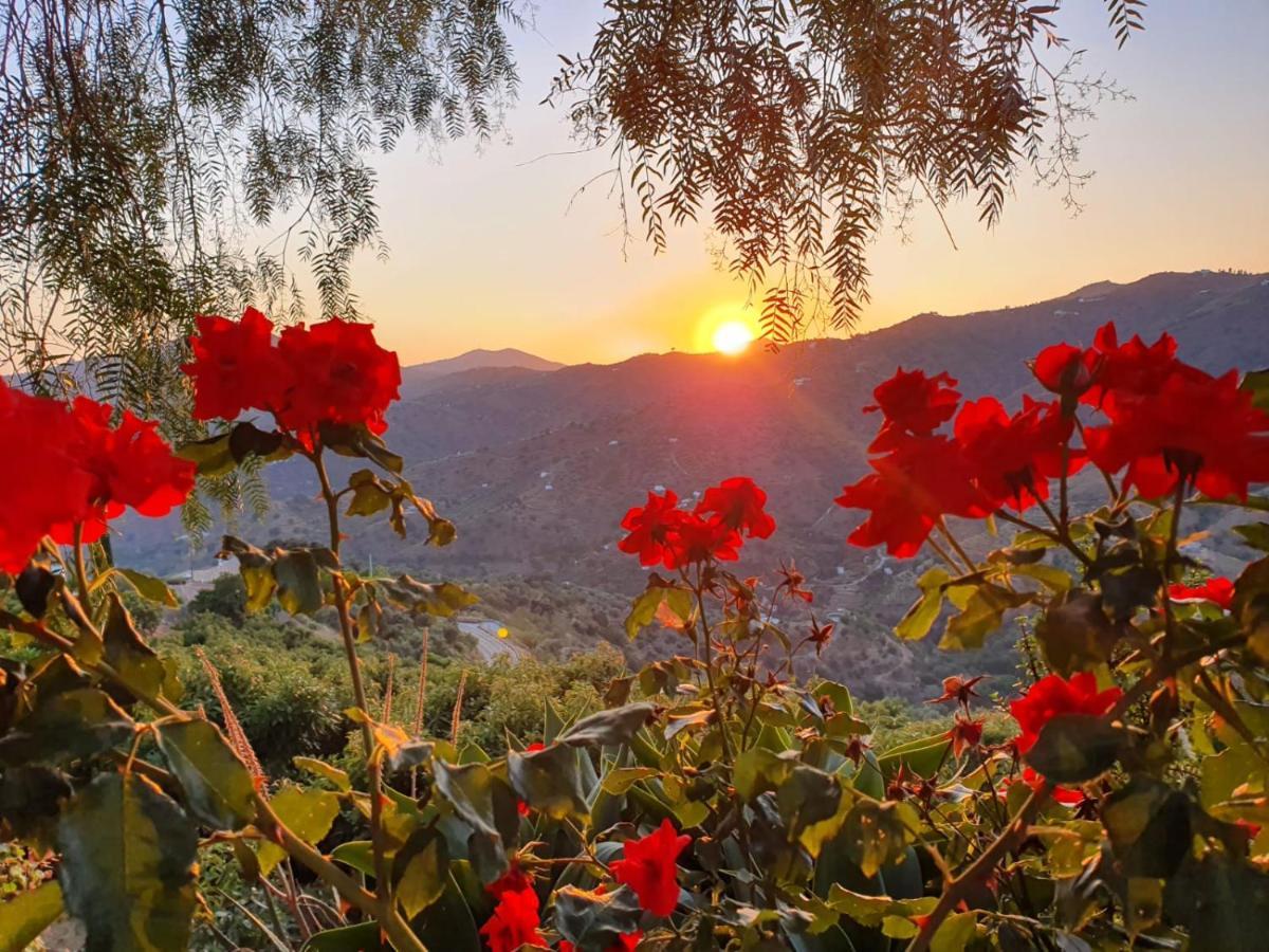 Cortijo La Rijana Villa Sayalonga Eksteriør bilde